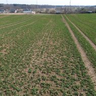 Inwestycja | 35 działek na sprzedaż. 