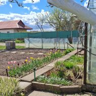 Ogródek działkowy ROD Sasanka. 