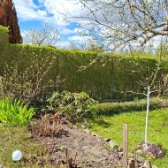 Ogródek działkowy ROD Sasanka. 