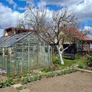 Ogródek działkowy ROD Sasanka. 