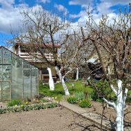 Ogródek działkowy ROD Sasanka. 