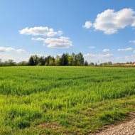 Działka rolna z warunkami zabudowy – Straduny