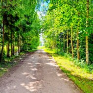 Własny koniec świata na Mazurach. 33ha w Ogródku.