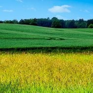 Własny koniec świata na Mazurach. 33ha w Ogródku.